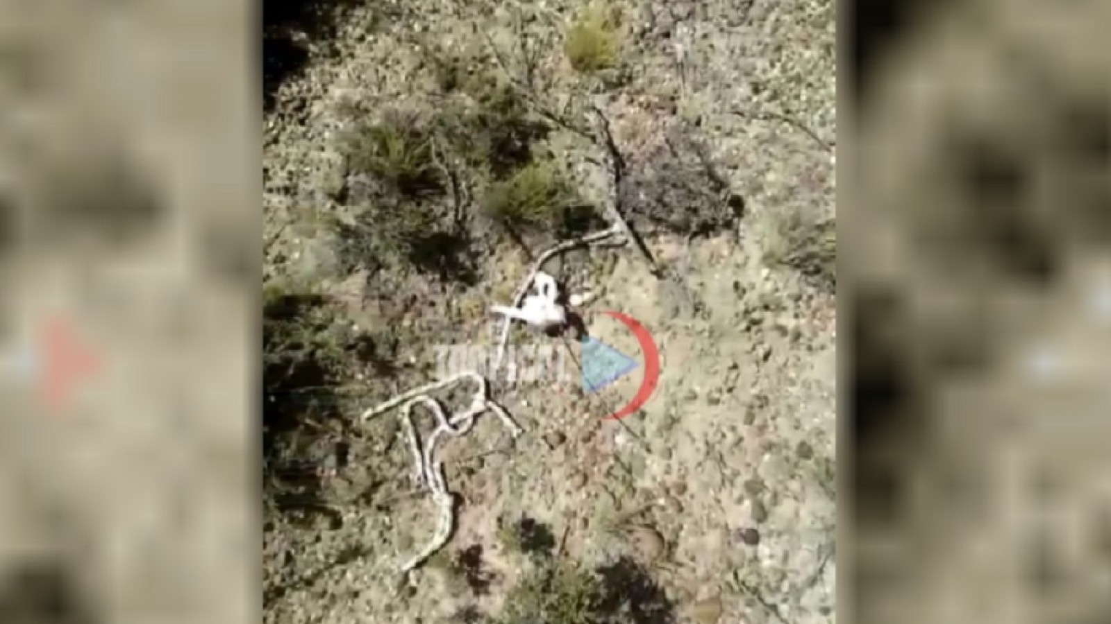 Hallan restos óseos a un costado de la ruta 3 entre Comodoro y Trelew